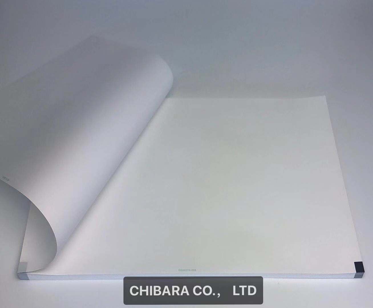 CQW210-3-295｜心電図用記録紙｜株式会社ちばら